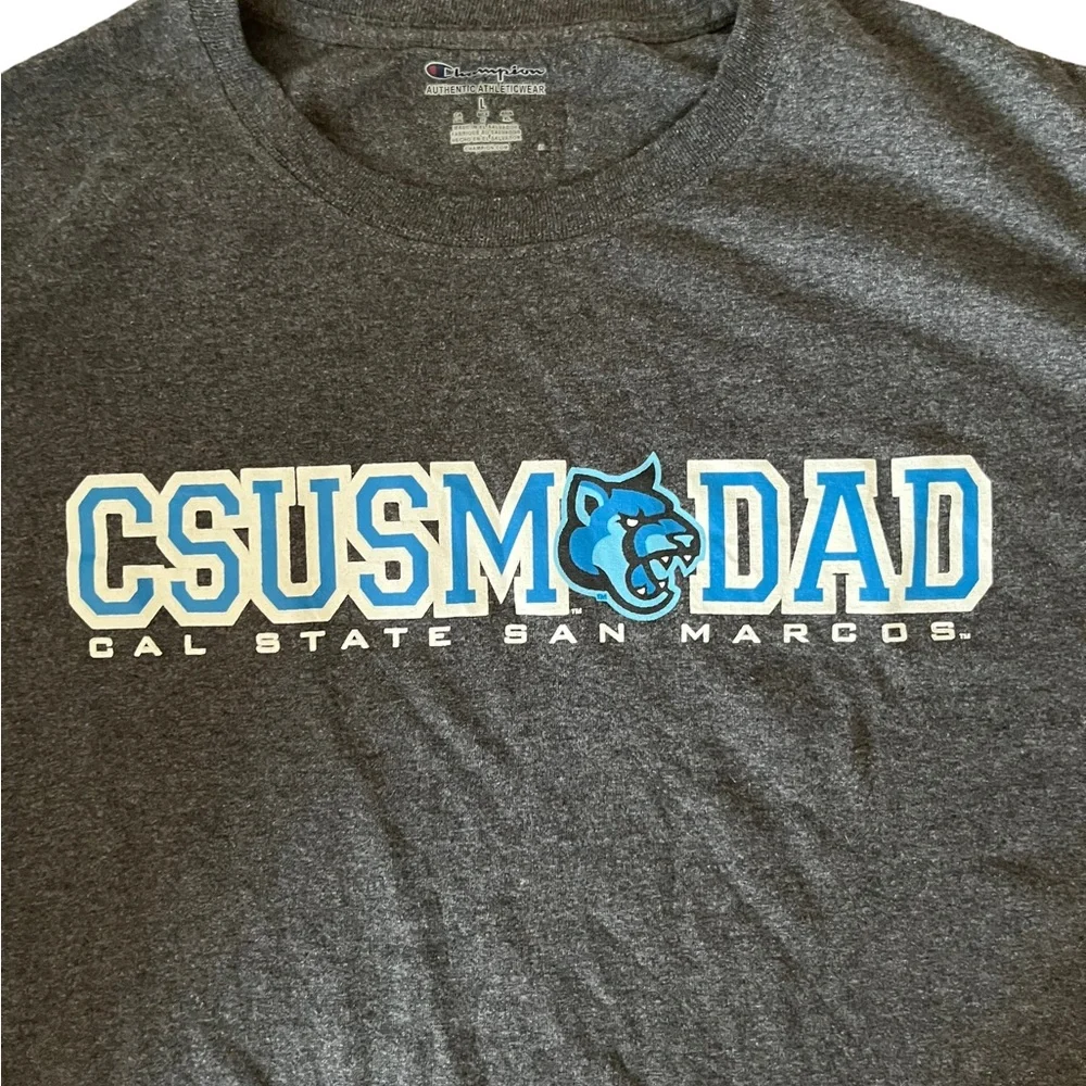 Champion Authentic Athleticwear Grey Mens T-shirt Size Large American Theme Mens - Picture 4 of 9
